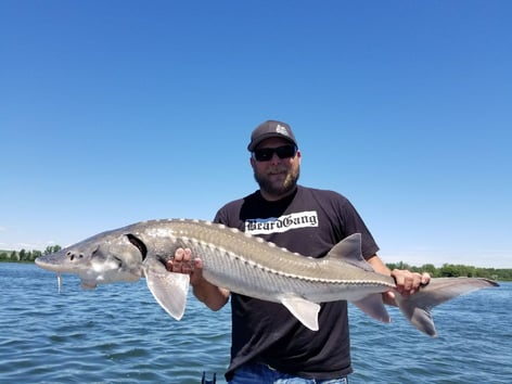 Sturgeon Fishing