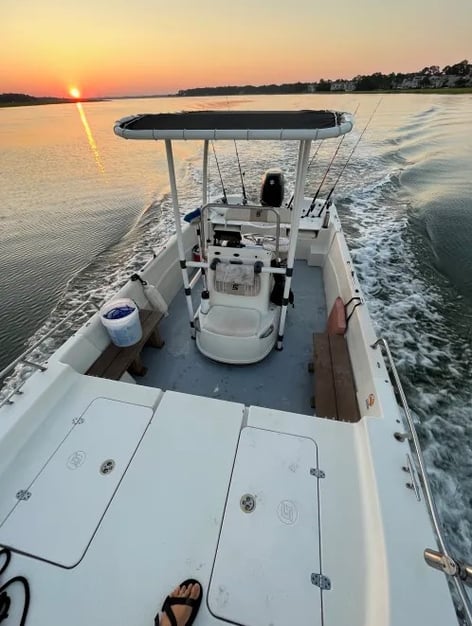 Guaranteed Dolphin Tour