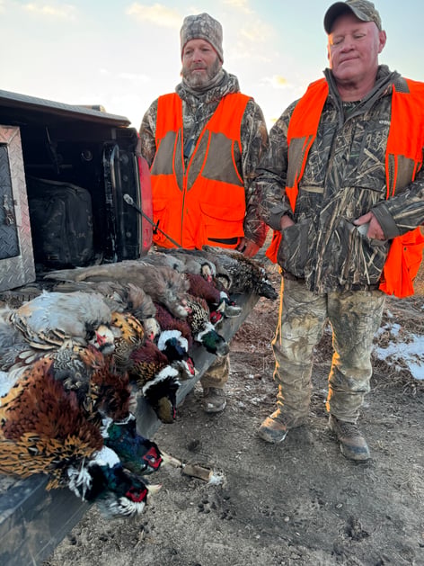 Kansas Upland Bird Hunting