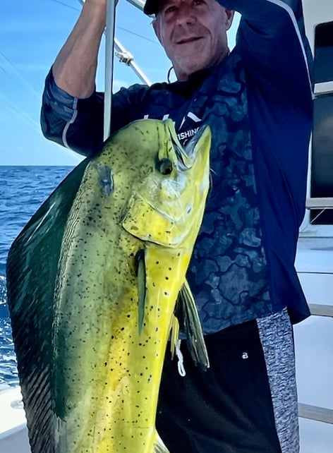1/2, 3/4, Full Gulf Stream Fishing