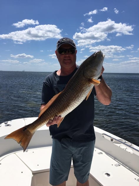 St. Petersburg Fishing