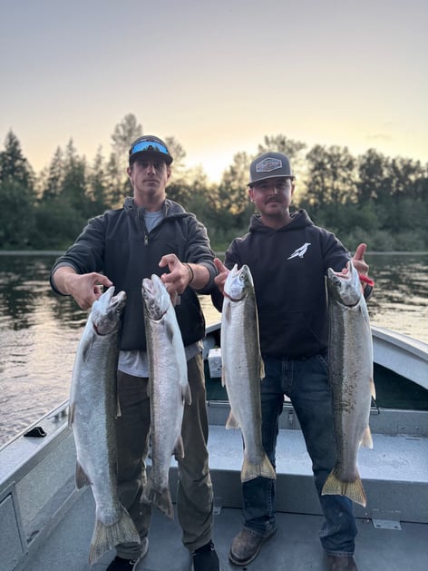 Summer Steelhead 
