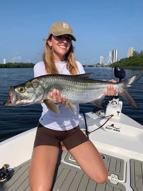 Tarpons In Recife, Brazil
