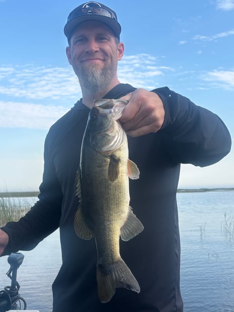 Rich Fishing