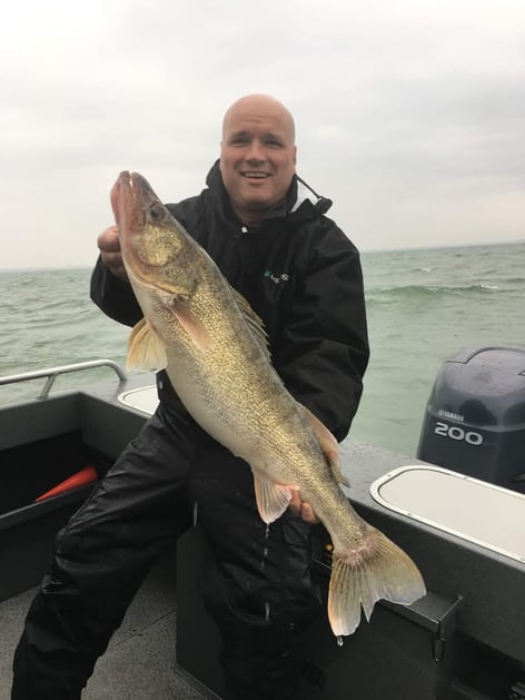 Lake Erie Walleye Fishing