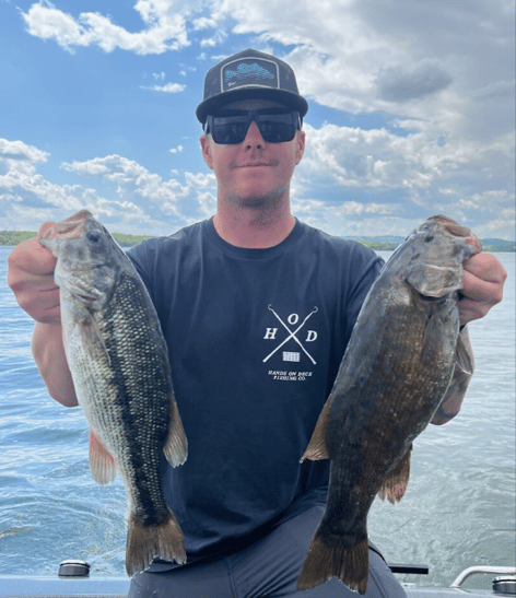 Bass Fishing Table Rock Lake