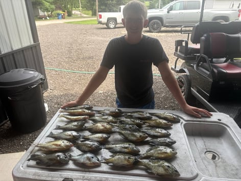 Panfish Trips