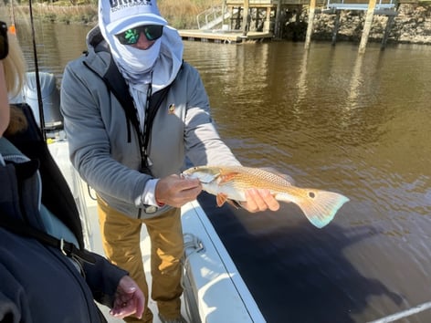 4hr Inshore Fishing