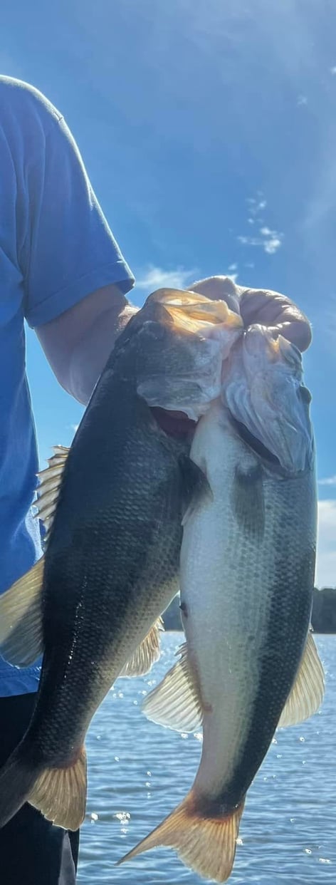 Freshwater Fishing
