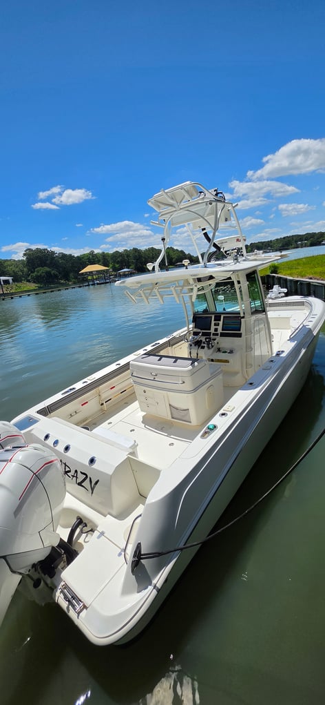 Cobia Sight Fishing 