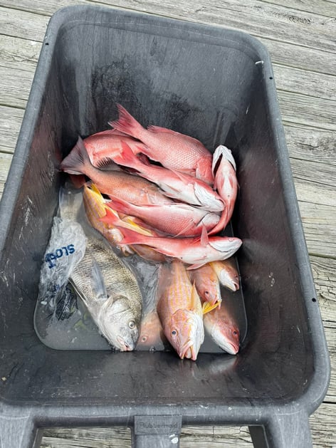 6-10 Hour Trip - OFFSHORE