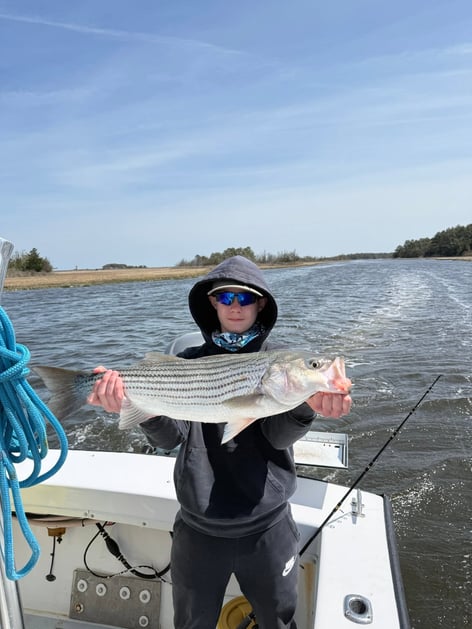  Inshore Fishing Trip
