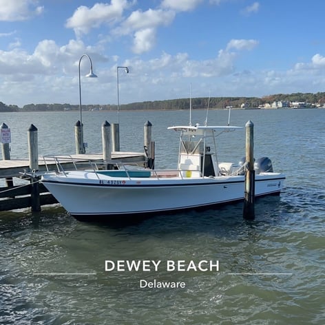 Back Bay Boat Charter