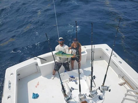 Full Day Trip – Offshore