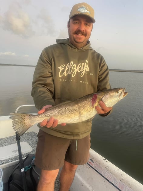 Missippi Inshore Trips 