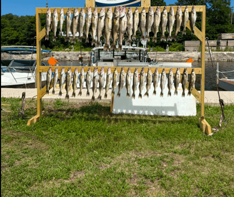 Walleye Fishing