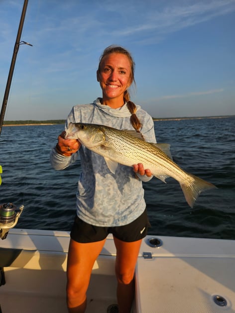 Striper Pursuit | Lake Texoma