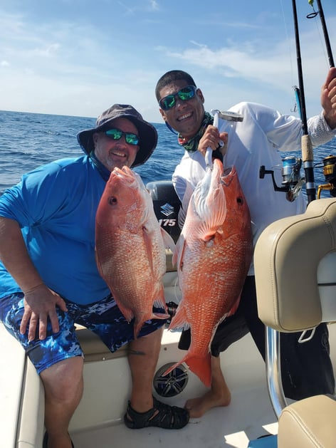 Offshore Fishing