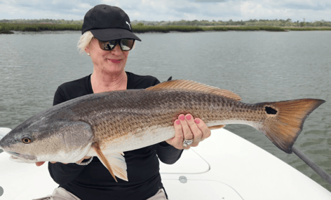 Inshore Fishing Trip