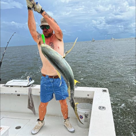 Gulfport Inshore & Nearshore