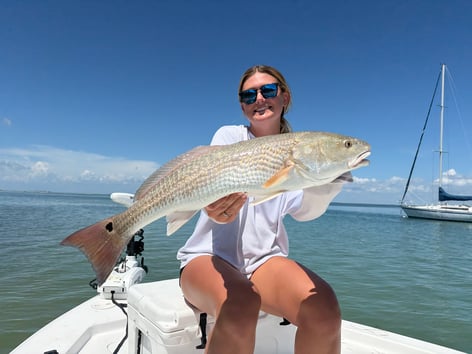 Inshore Fishing 