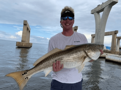 Fort Walton Inshore Spectacular