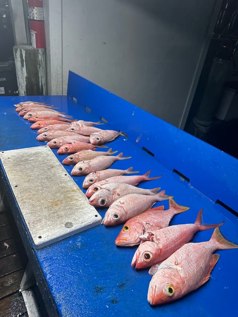 Half day fishing charter