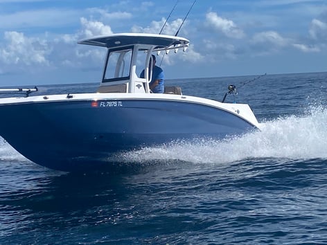 Half Day offshore fishing