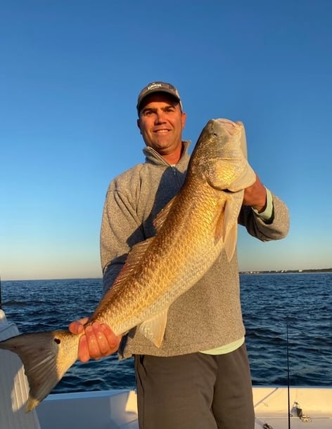 Inshore Fishing Trip