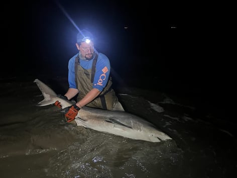 Cape May Land Based Shark Fishing