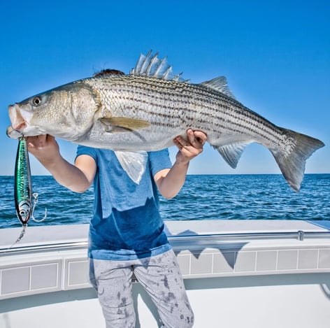 5-8 Hr Fishing Trip – Striped Bass
