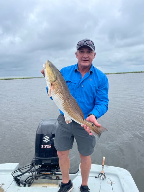 Speckled Trout and Redfish