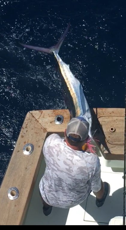 Full Day Offshore Fishing