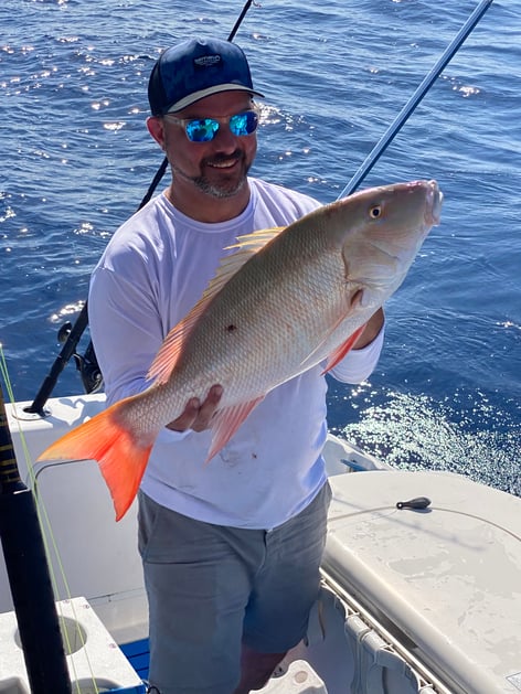 Yellowtail Fishing Trip