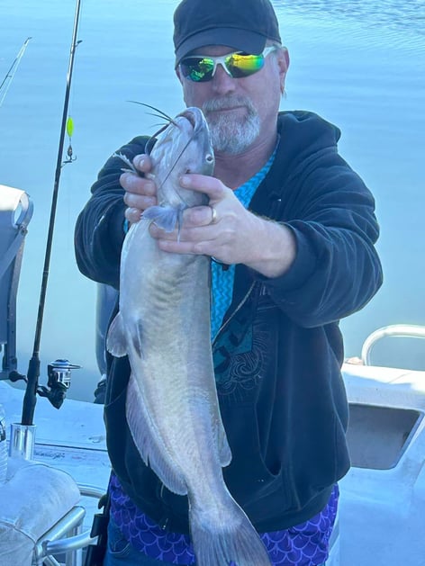 "Reeling in Memories"