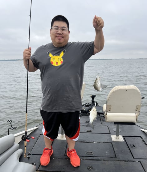 Lake Lavon White Bass