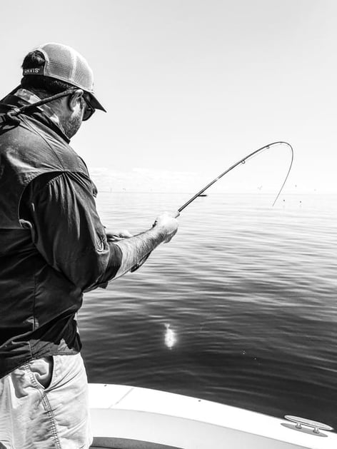 Wandering Albatross Fly Fishing