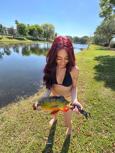 PEACOCK BASS FISHING