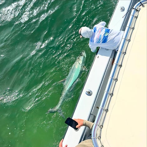 Miami Beach Tarpon Trip