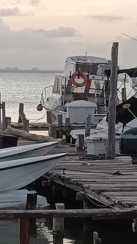 Early Offshore + Island Stop