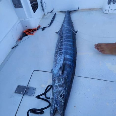 Offshore Canyon Adventure