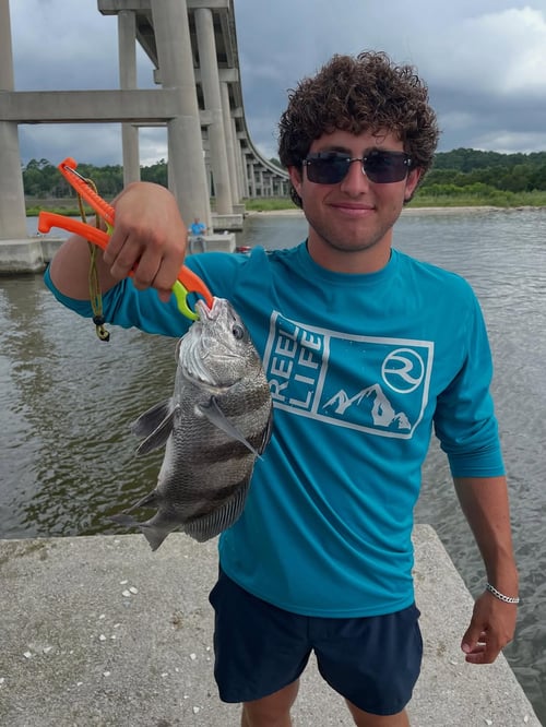 4-8 Hour Inshore Trip