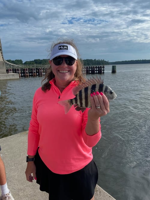 4-8 Hour Inshore Trip