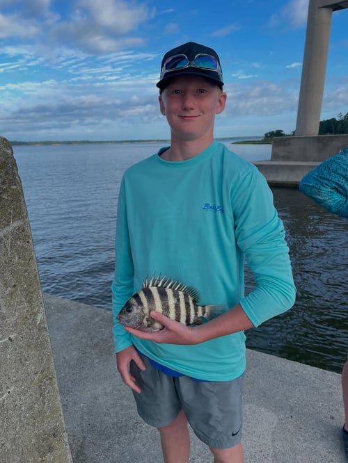 4-8 Hour Inshore Trip