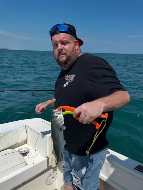 4-8 Hour Nearshore Trip
