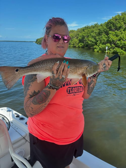 4-6 Hour Inshore Trip