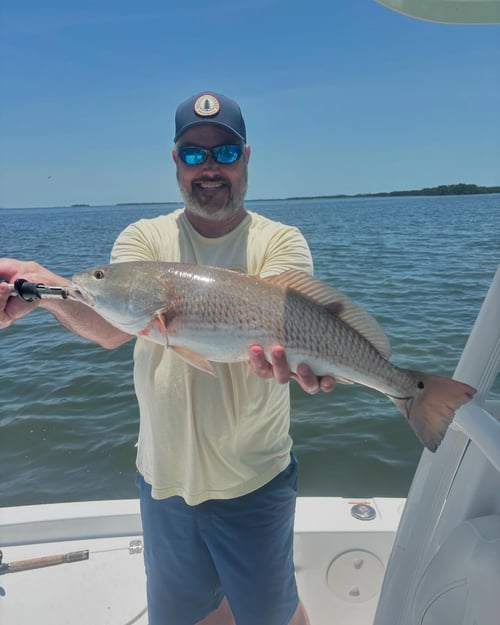 4-6 Hour Inshore Trip