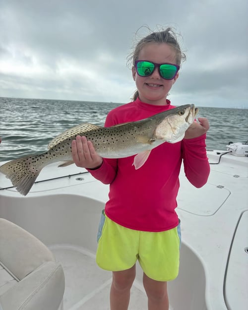 4-6 Hour Inshore Trip