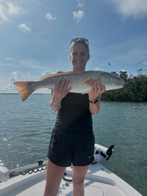 4-6 Hour Inshore Trip