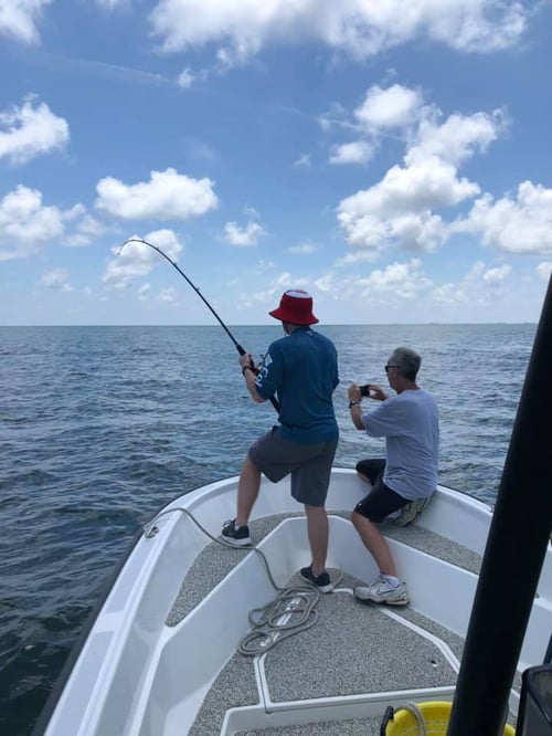 Summertime Reds & Sharks